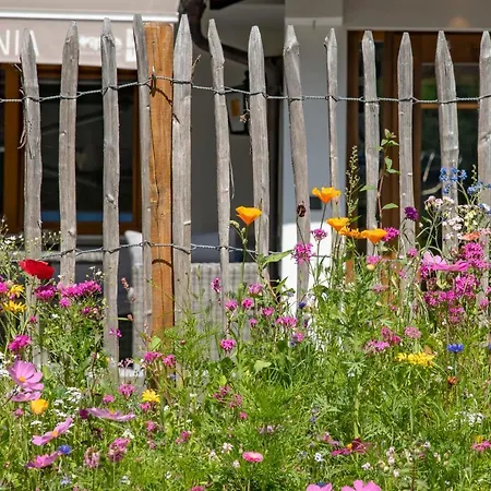 Gasthuis Gasthof-pension Wulfenia